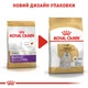 Корм для дорослих собак ROYAL CANIN Роял канін MALTESE ADULT 0.5 кг. - изображение 5