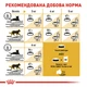 Корм для дорослих котів ROYAL CANIN Роял канін PERSIAN ADULT 2.0 кг. - изображение 3