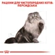 Корм для дорослих котів ROYAL CANIN Роял канін PERSIAN ADULT 2.0 кг. - изображение 7