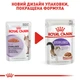 Упаковка влажного корма для взрослых стерилизованных кошек ROYAL CANIN STERILISED IN GRAVY 85 г x 12 шт. - изображение 7