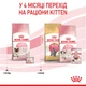 Корм для новонароджених кошенят і кішок ROYAL CANIN Роял канін MOTHER&BABYCAT 0.4 кг. - изображение 7