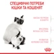 Корм для новонароджених кошенят і кішок ROYAL CANIN Роял канін MOTHER&BABYCAT 0.4 кг. - изображение 5
