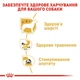 Вологий корм для дорослих собак ROYAL CANIN Роял канін CHIHUAHUA ADULT 0.085 кг 12шт. - изображение 5