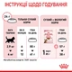 Корм для стерилізованих кошенят ROYAL CANIN Роял канін KITTEN STERILISED 2 кг. - изображение 4