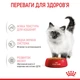 Вологий корм для кошенят ROYAL CANIN Роял канін KITTEN IN JELLY 0.085 кг 12шт. - изображение 7