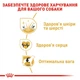 Корм для дорослих собак ROYAL CANIN Роял канін GOLDEN RETRIEVER ADULT 12 кг. - изображение 4