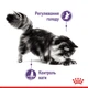 Вологий корм для дорослих котів ROYAL CANIN Роял канін APPETITE CONTROL CARE шматочки в соусі 85 г 12шт. - зображення 7