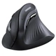 Вертикальная беспроводная мышка для ноутбука UGREEN MU008 Multi-mode Vertical Mouse эргономичная мышь для компьютера анатомическая Black (25444) - изображение 1