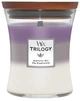 Ароматическая свеча в стекле с трехслойным ароматом Woodwick Medium Trilogy Amethyst Sky 275 г (1707527E) - изображение 1