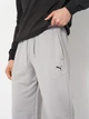 Спортивные штаны мужские Puma F1 Essentials 62572905 XL Gray Echo (4069157160155) - изображение 4