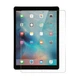 Защитное стекло Tempered Glass для Apple iPad 9 (10.2 дюйма) 2021 - изображение 2