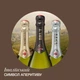 Вино ігристе Martini Brut біле брют 0.75 л 11.5% (8000570467403) - зображення 5