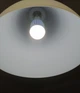 Антимоскитная светодиодная лампочка Noveen IKN804 LED 40 кв.м 800 В 220-240 В, 50/60 Гц 550 лм ABS пластик белый - изображение 3