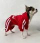 Спортивный костюм для собак Adidog M Красный - изображение 8