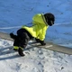 Зимний комбинезон для собак Dog XL Салатовый - изображение 14