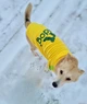 Толстовка для собак Adidog 4XL Желтый - изображение 9