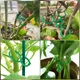 Набор садовых зажимов для растений PlantClamps, 200 штук - изображение 4