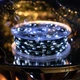 Гирлянда Роса нить 1000 LED 100 м с пультом от сети зеленый/холодный белый GarlandoPro 1000L100MGW - изображение 3
