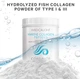 Гидролизованные коллагеновые пептиды дикой рыбы Codeage Hydrolyzed Fish Collagen Peptides 450 г - изображение 5