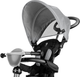 Rowerek trójkołowy Qplay Cosy Grey (5061047480373) - obraz 3