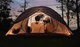 Палатка Naturehike CNK2300ZP024 2 White - изображение 3