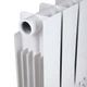 Радиатор биметаллический Thermo Alliance Bi-Ferrum 300/100 1,15 кг - изображение 7