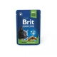 Влажный корм Brit Premium Cat Pouch для стерилизованных кошек, с курицей, 100 г - изображение 1