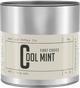 Чай розсипний Teministeriet First Choice Cool Mint No. 2 80 г (7340023004221) - зображення 1