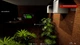 Ключ активации Outlaw Bundle: Thief Simulator 2 x Drug Dealer Simulator для Xbox One/Series S/X - изображение 6