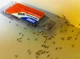 Средство от муравьев Terro T300B Liquid Ant Killer. Станция приманка. Терро от муравьев. Уничтожает колонию. - изображение 4