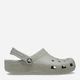 Мужские кроксы Crocs Classic Ept 10001-1LM 48-49 (M13) 31 см Серые (196265388974) - изображение 1