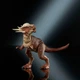 Игрушка Мир Юрского периода 2 - Стигимолох Jurassic World Hammond Collection Stygimoloch Action Figure Mattel - изображение 4