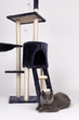 Drapak dla kota Petsi domek drzewo legowisko 138 cm XL szary (5903089065920) - obraz 5