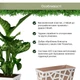 Вазон Idel Flowerbox прямокутний коричневий/білий 40см (730027) - изображение 7
