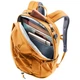 Рюкзак Deuter Gogo 25 л amber-maple 3813224 9908 - изображение 8