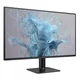 Монитор 27" Philips 27e2n2500/00, Black, wled, ips, 2560x1440 (16:9), 1 мс, 120 Гц, 350 кд/м, 1500:1, 178°/178°, dp/hdmi, Vesa 100x100, Adaptive Sync - изображение 2