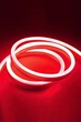 Стрічка неонова світлодіодна Червона 5 метрів, гнучка основа LED NEON, 12 - 220В - зображення 2