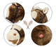 Koń na kiju Milly Mally Hobby Dark Brown (5901761127348) - obraz 8