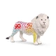 Лев Exclusive до 90-річчя Schleich 72264 - изображение 1