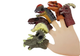 Zestaw pacynek na palec Lean Toys Dinozaury Kolorowe 5 szt 7389 (5908275999027) - obraz 3