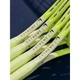 Ракетка Head Extreme PRO 2024 Gr3 231104 - изображение 3