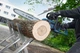 Пила ланцюгова акумуляторна Bosch Professional GKE 18V-40 18В шина 40см 3.7кг без АКБ та ЗП (0.600.8D3.000) - изображение 8