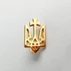 Значок Dobroznak Герб України 23х12 мм Золотий (6245) - зображення 3