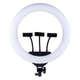 Лампа Fill Light 36cm 14" (QX-360) Черный - изображение 1