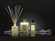 Dyfuzor zapachowy Cereria Molla Premium Reed Provence Lavender + patyczki 100 ml (8424405013113) - obraz 2