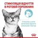Влажный корм Royal Canin SENSORY FEEL in Jelly pouch для кошек в соусе 3 + 1 шт - изображение 4