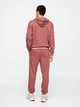 Спортивный костюм мужской Gap 990886566 XL Розовый (1159839530) - изображение 2