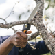 Пила складана Fiskars Plus SW68 (1067552_Fis) - зображення 11