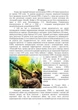 Тактико-спеціальна підготовка (стрілець-зенітник переносних зенітних ракетних комплексів 9К38 (9К310)) - изображение 6
