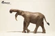 Динотерій Deinotherium EoFauna 00703 - изображение 2